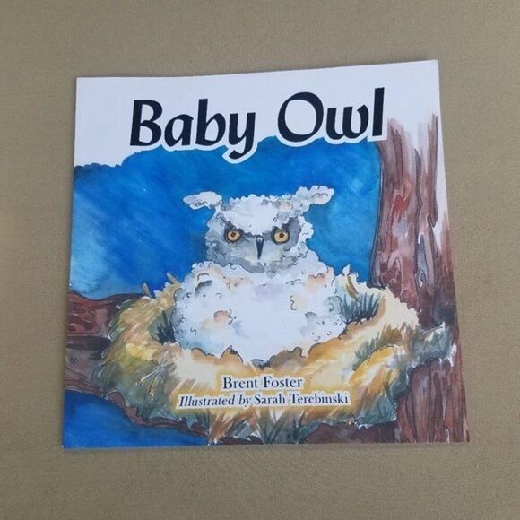 Baby Owl Book - Picture 1 of 4